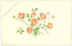 rosen