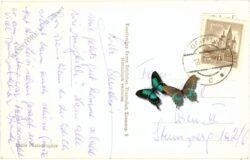 klopeinersee, mit hochobir