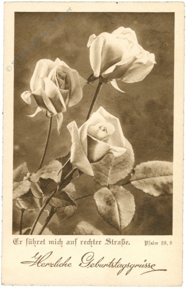 geburtstag, rosen geburtstag, rosen