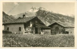 gößl, frühling in elm