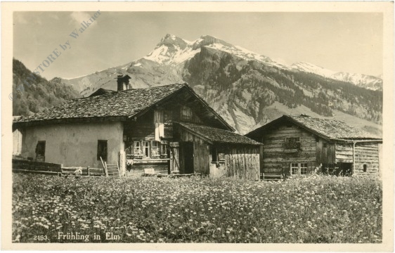 gößl, frühling in elm