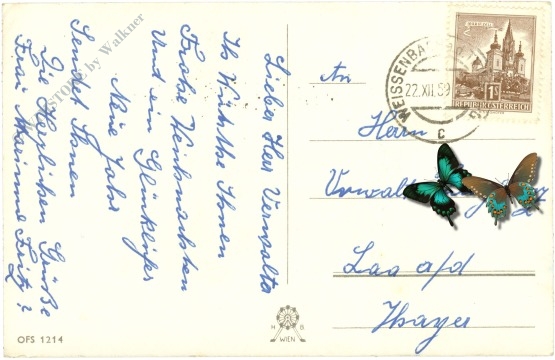 weihnachten, kinder spielen im schnee