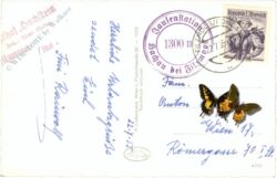 hachau, bei filzmoos, jausenstation zeferer