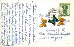 ramsau, austriahütte, blick gegen die dachstein südwände