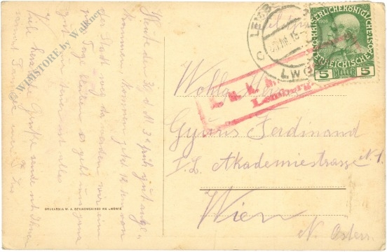 lemberg, totalansicht