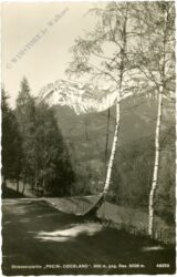 prein, strassenpartie prein oberland gegen rax