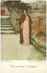 unbekannt: die letzte rose des sommers