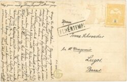 unbekannt: die letzte rose des sommers