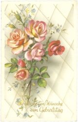 geburtstag, rosen