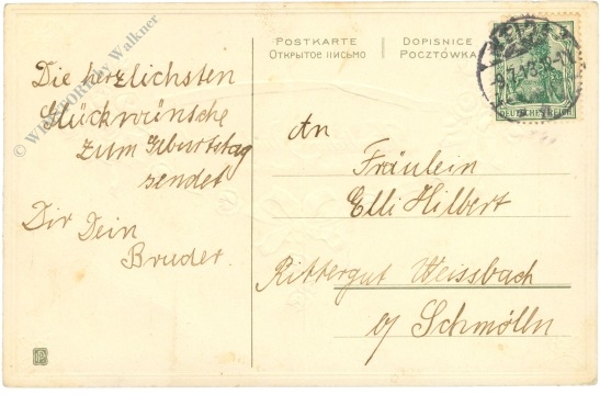 geburtstag, rosen