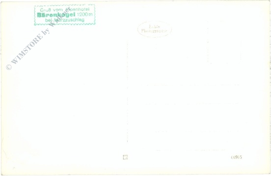 mürzzuschlag, alpenhotel bärenkogel