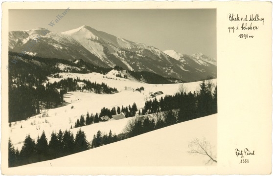 wald, blick von der melling gegen den schober