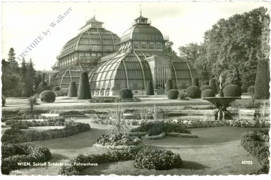 wien 13, schloss schönbrunn, palmenhaus wien 13, schloss schönbrunn, palmenhaus