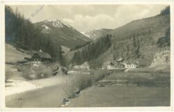 krampen an der mürz, ortsansicht