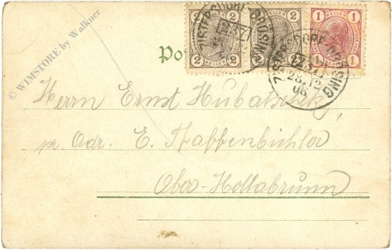 neujahr, landschaft mit edelweiß
