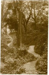 hastings, fairlight glen