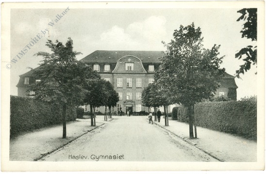 haslev, gymnasium