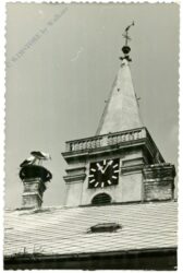 störche