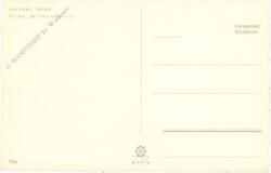 weihnachten: wien, michaelertor