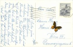 geburtstag, kinder mit blumen