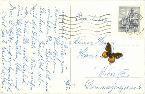 geburtstag, kinder mit blumen