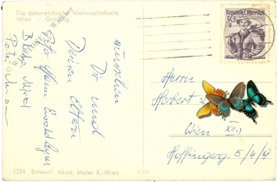 weihnachten: wien, grinzing