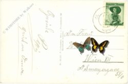 semmering, palace hotel