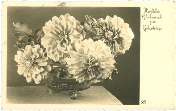 geburtstag, dahlien geburtstag, dahlien