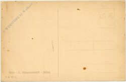 wien, x. sängerbundfest, festzug