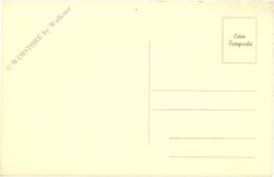 wien 1, blick vom rathaus auf das burgtheater