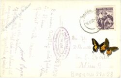 judenstein bei hall, ortsansicht