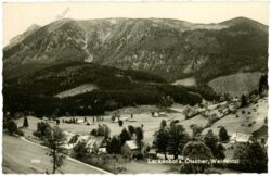 lackenhof am Ötscher, weidental