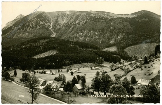 lackenhof am Ötscher, weidental