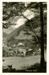 freiland, ortsansicht