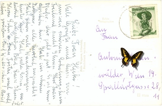 freiland, ortsansicht