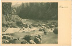 bergwasser