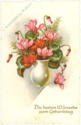geburtstag, cyclamen