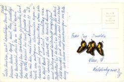 altaussee, dachsteinblick