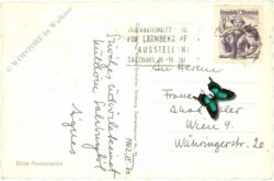 salzburg, mirabellgarten