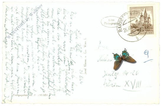 rappottenstein, schloss