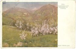 wien 19, leopoldsberg und kahlenberg im frühling