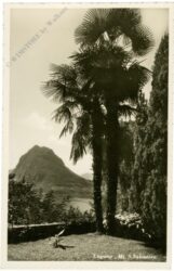 lugano, mt. s. salvatore