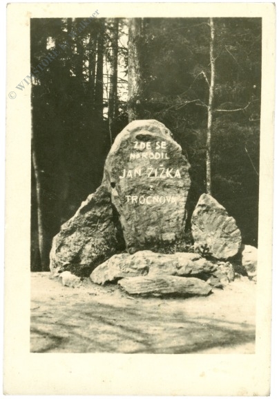 trhové sviny, ansicht