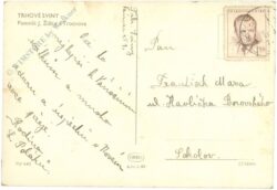 trhové sviny, ansicht