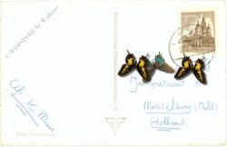 thiersee, mit pendling