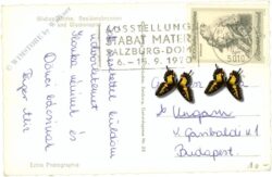 salzburg, residenzbrunnen, michaelikirche und glockenspiel