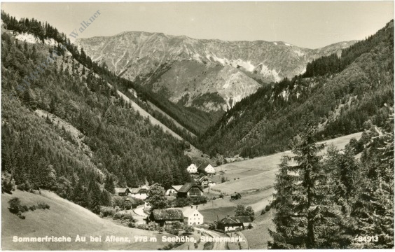au bei aflenz, ortsansicht