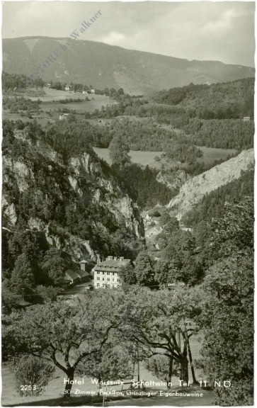 schottwien, hotel waissnix