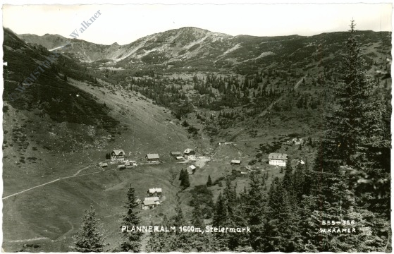 donnersbach, planneralm