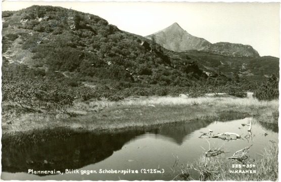 donnersbach, planneralm, blick gegen schoberspitze